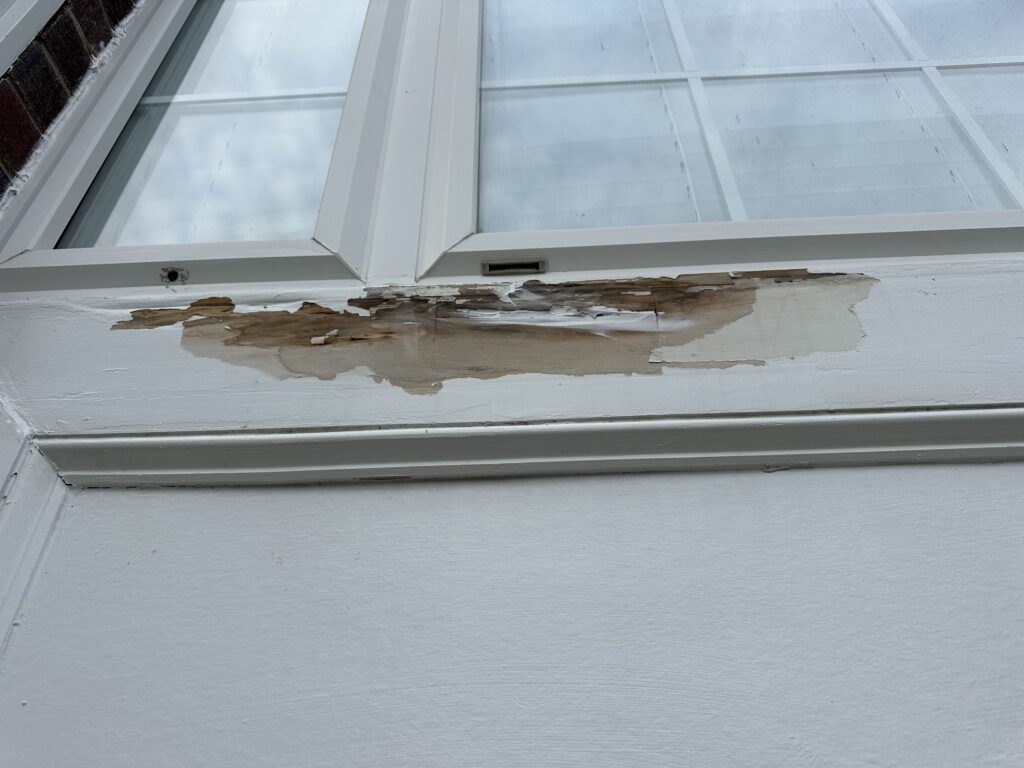 Entry Way water damage repair and Paint